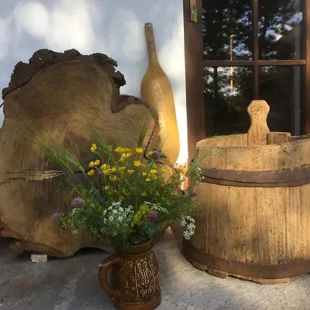 Dom Pod Orzechem Сasa de vacaciones Łapczyce