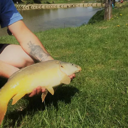 Casa vacanze Dom Pod Orzechem *