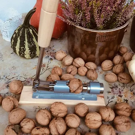 Casa vacanze Dom Pod Orzechem