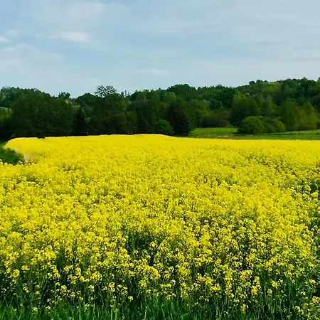 Dom Pod Orzechem Casa vacanze