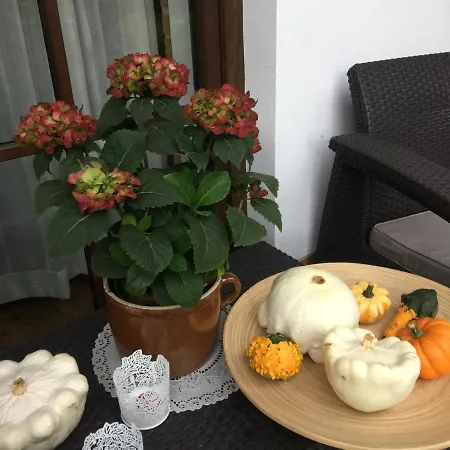 Dom Pod Orzechem Casa vacanze *