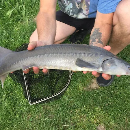 Dom Pod Orzechem * Łapczyce