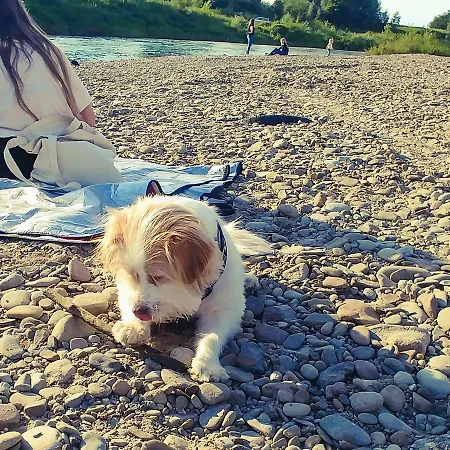 Dom Pod Orzechem * Lapczyca