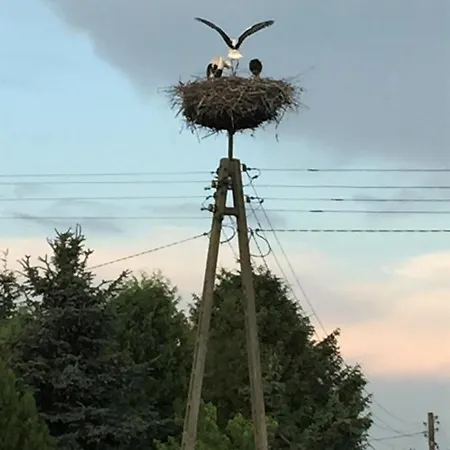 Casa vacanze Dom Pod Orzechem