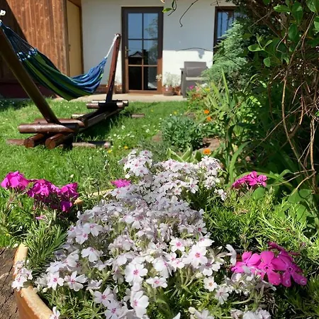 Dom Pod Orzechem * Łapczyce