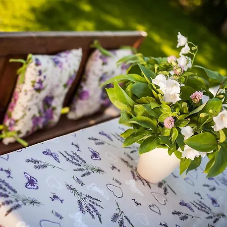 Dom Pod Orzechem Lapczyca