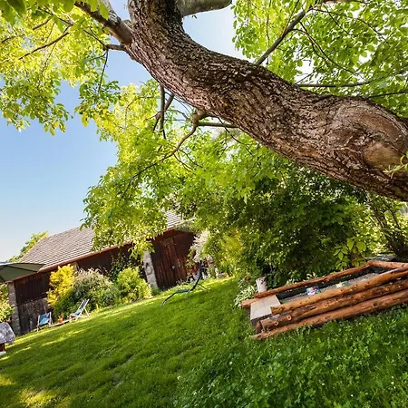 Dom Pod Orzechem * Lapczyca