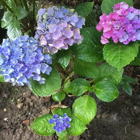 Сasa de vacaciones Dom Pod Orzechem