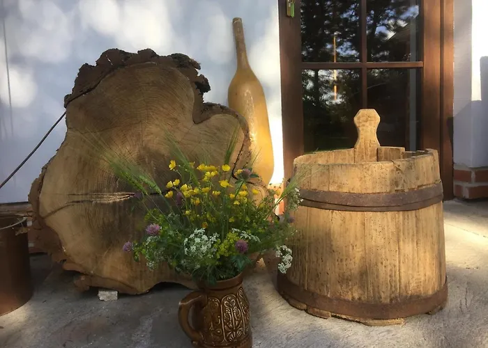 Dom Pod Orzechem 別荘 ワプチツァ