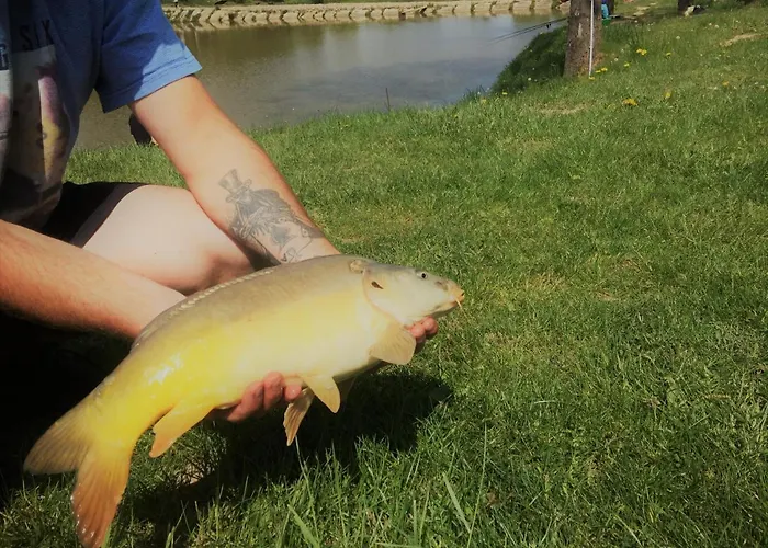 別荘 Dom Pod Orzechem *