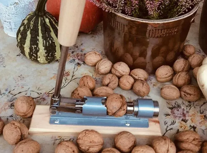 別荘 Dom Pod Orzechem