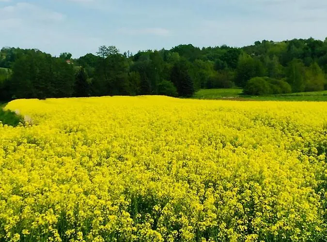 Dom Pod Orzechem 別荘