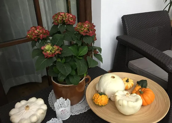 Dom Pod Orzechem 別荘 *