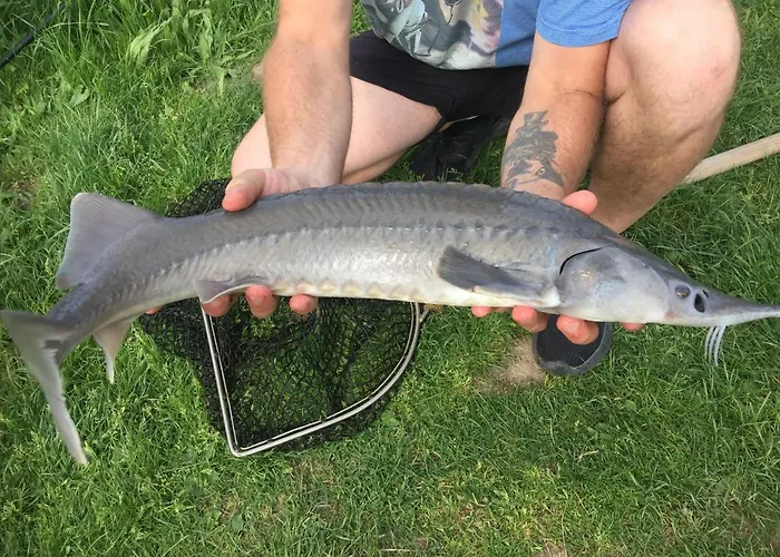 Dom Pod Orzechem * ワプチツァ