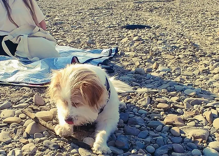 Dom Pod Orzechem * ワプチツァ