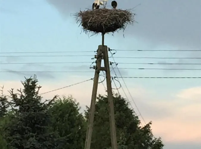 別荘 Dom Pod Orzechem