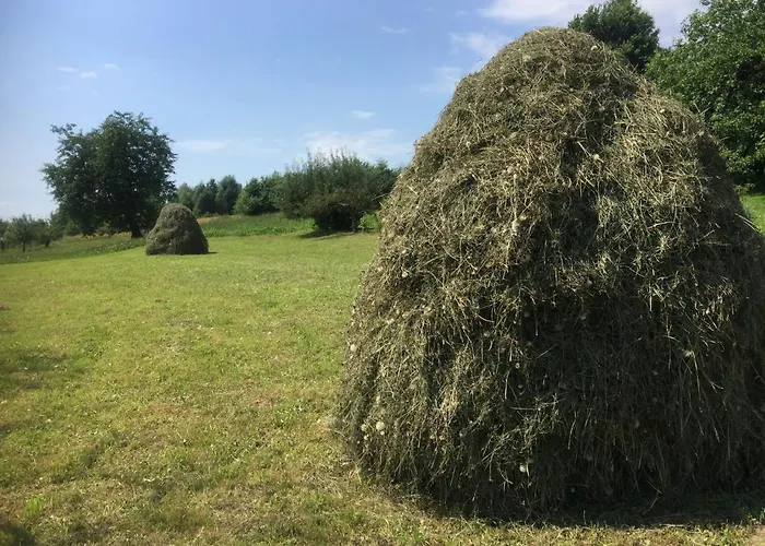 Dom Pod Orzechem 別荘