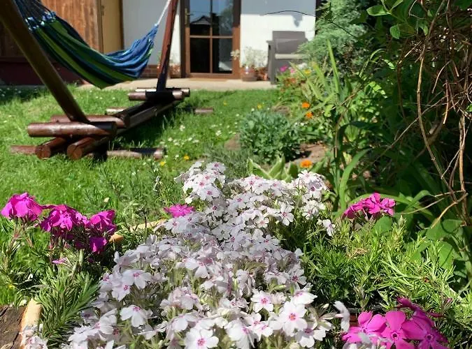 Dom Pod Orzechem * ワプチツァ