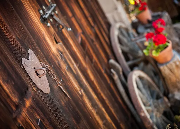 Dom Pod Orzechem ワプチツァ