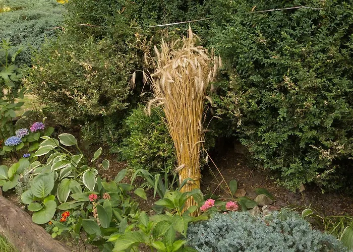 Dom Pod Orzechem 別荘